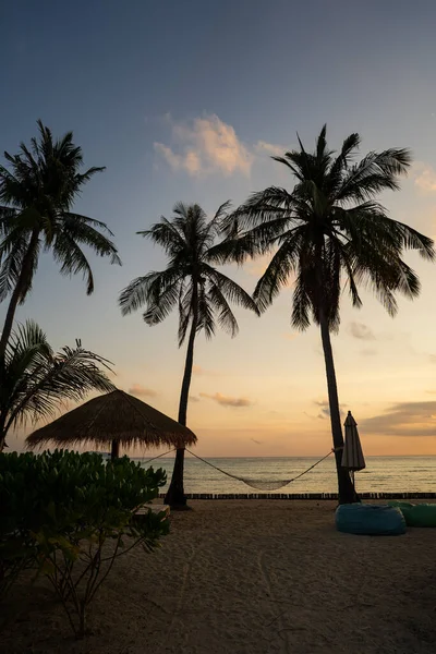 Uma Paisagem Tropical Relaxante Com Uma Rede Entre Palmeiras Uma — Fotografia de Stock