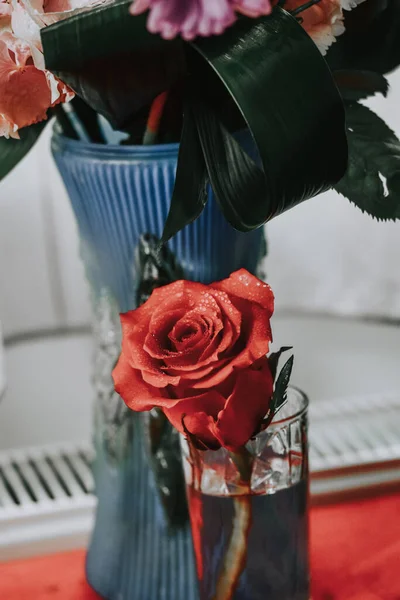 Primer Plano Una Hermosa Rosa — Foto de Stock