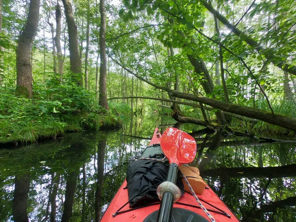 Ein Rotes Kajak Einem Fluss Einem Dichten Vorland — Stockfoto