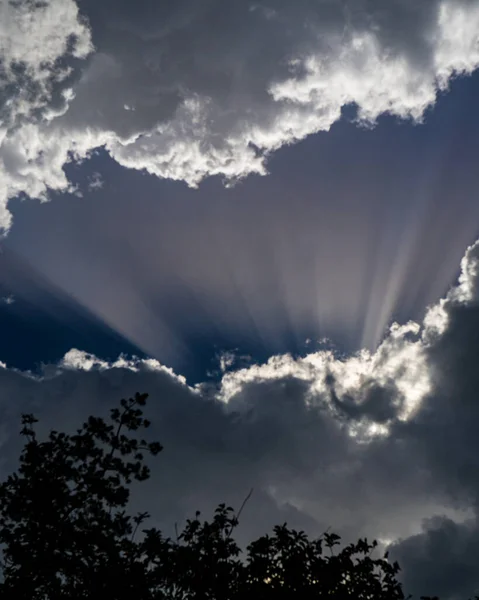 Koyu Mavi Gökyüzü Ağaçların Siluetleriyle Çevrili Beyaz Gri Bulutların Dikey — Stok fotoğraf