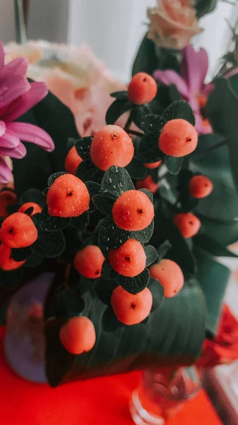 高カリウムとアスターの花と美しい花の組成物の垂直ショット — ストック写真