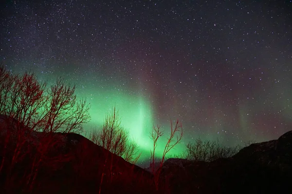 Het Noorderlicht Poolcirkel Noorwegen — Stockfoto