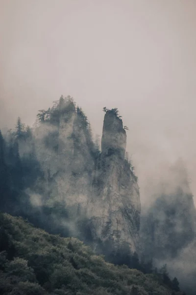 Paesaggio Nebbioso Nel Famoso Parco Nazionale Ceahlau Romania Metà Giugno — Foto Stock