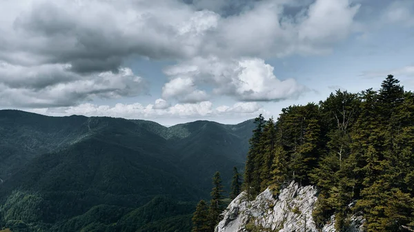 Bulutlu Gökyüzünün Altında Yeşilliklerle Kaplı Bir Dağ Manzarası Duvar Kağıtları — Stok fotoğraf