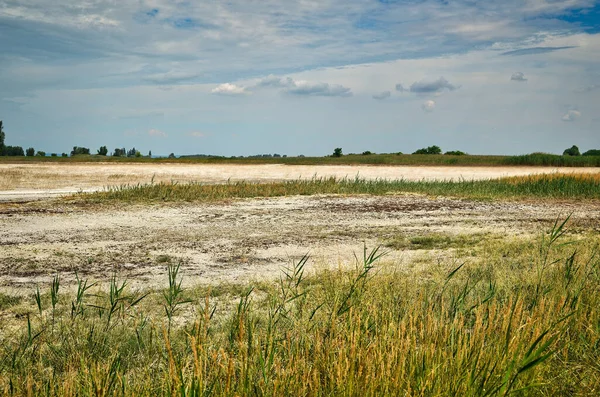 landscape photo of grassland with dry salt lake \
