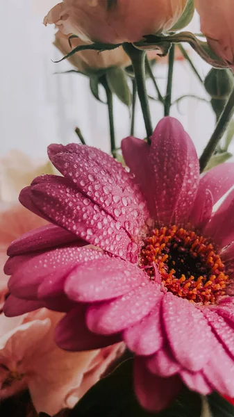 Primer Plano Vertical Una Hermosa Flor Montaña Cubierta Gotas Rocío —  Fotos de Stock