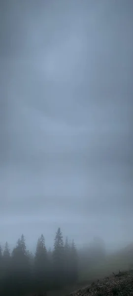 안개낀 아름다운 — 스톡 사진