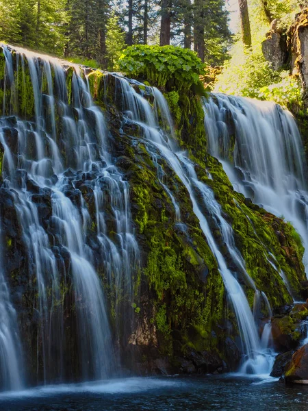 Disparo Vertical Las Cataratas Mccloud Los Estados Unidos América — Foto de Stock