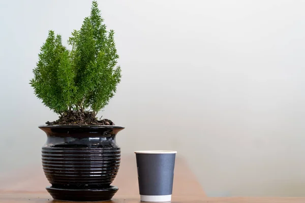 Uma Xícara Café Com Uma Planta Vaso Uma Mesa Madeira — Fotografia de Stock