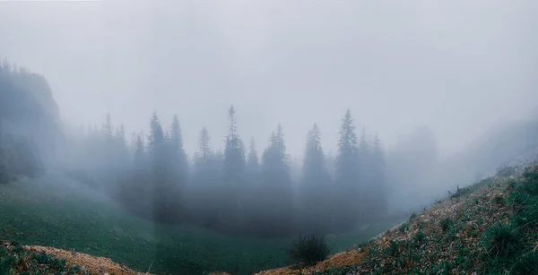 Una Hermosa Vista Paisaje Montañoso Con Vegetación Envuelta Niebla —  Fotos de Stock