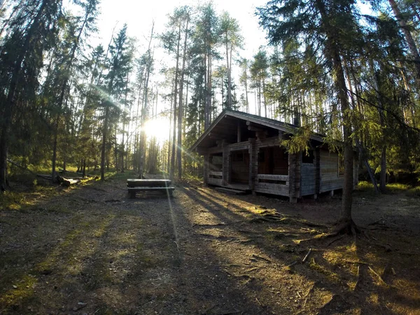 Abendsonne Taucht Eine Finnische Holzhütte Und Den Campingplatz Eine Romantische — Stockfoto