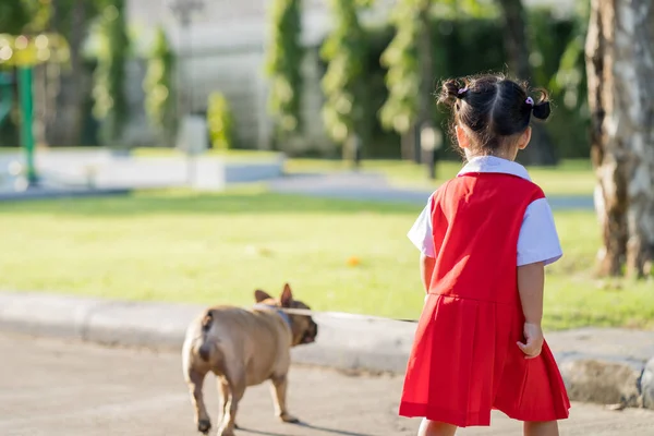 Uma Menina Caminhando Com Seu Adorável Buldogue Francês — Fotografia de Stock