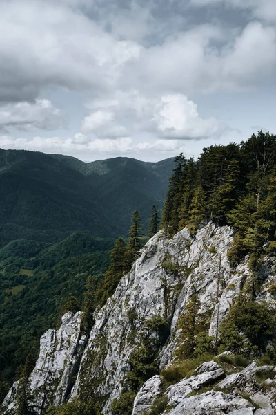 Vertical Shot Rocky Mountains Covered Greenery Cloudy Sky — Stock Photo, Image