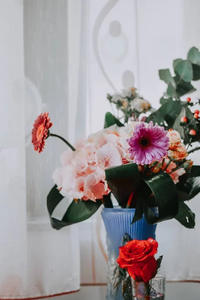 Una Hermosa Flor Gerberas Flor — Foto de Stock