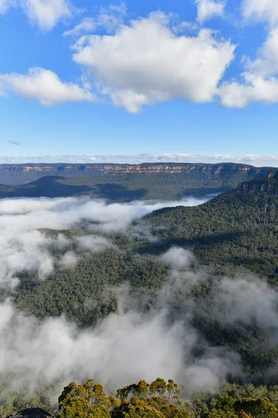 Névoa Vale Perto Sublime Point Lookout Nas Montanhas Azuis Oeste — Fotografia de Stock