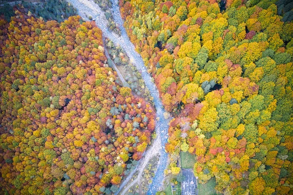 Αεροφωτογραφία Του Δάσους Φθινόπωρο Πολύχρωμα Δέντρα Και Ένα Ποτάμι Φωτογραφία — Φωτογραφία Αρχείου