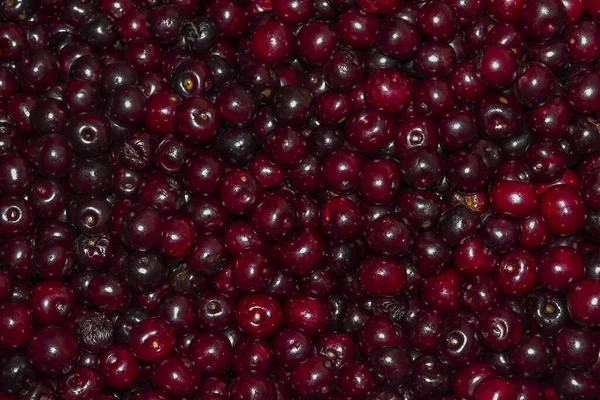 Una Pila Cerezas Rojas Profundas Textura Cerezas Vibrantes Apiladas Juntas — Foto de Stock