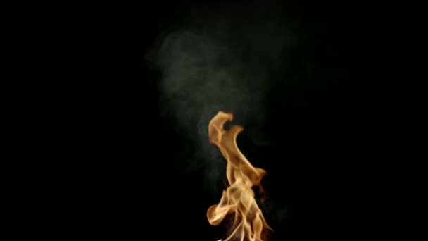 Fumée Blanche Sur Fond Noir Gros Plan — Video