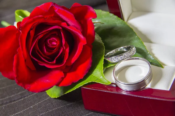 Primo Piano Una Rosa Rossa Con Paio Anelli Fidanzamento Una — Foto Stock