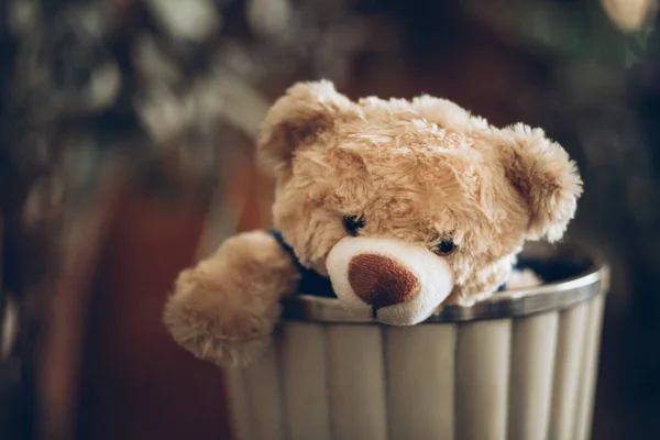 Eine Nahaufnahme Eines Teddybären Einem Container Unter Den Lichtern Mit — Stockfoto