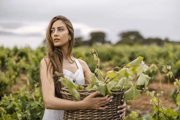 Shallow Focus Adult Spanish Woman Holding Basket Full Grape Leaves — Stockfoto