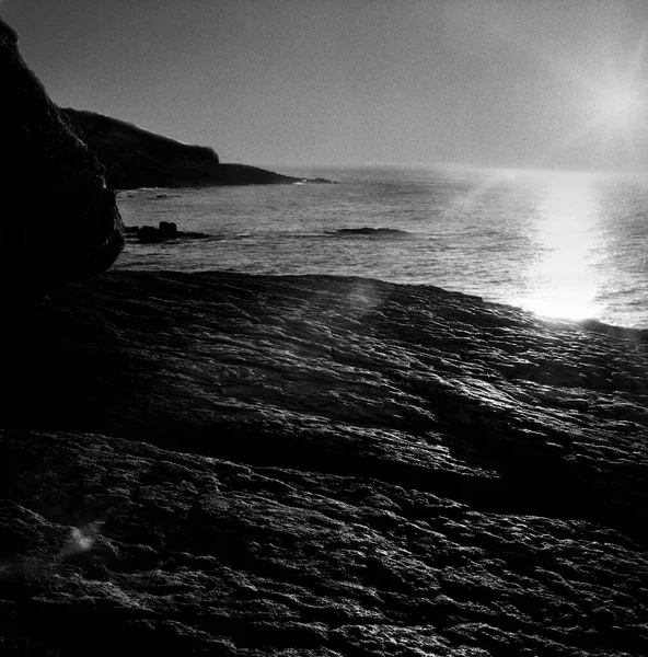 Tiro Blanco Negro Una Orilla Del Mar Día Soleado — Foto de Stock