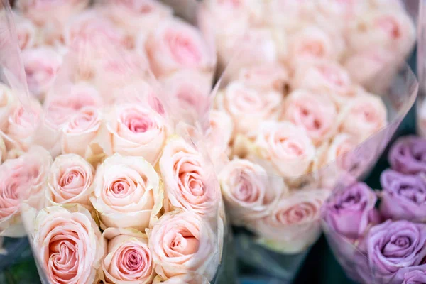 Close Buquês Delicadas Rosas Brancas Roxas Venda Mercado Com Fundo — Fotografia de Stock