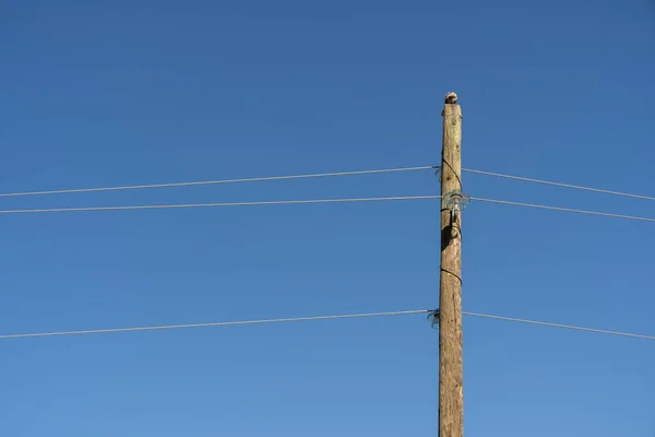 Gros Plan Poteau Électrique Sur Ciel Bleu Clair — Photo