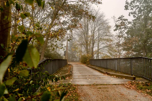 Träbro Med Fallna Höstträd — Stockfoto