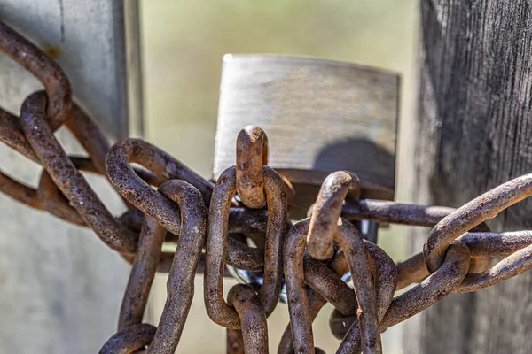 Nærbilde Gjerde Låst Med Rusten Kjede Uskarp Bakgrunn – stockfoto