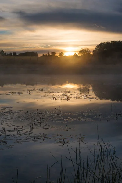 Eine Vertikale Aufnahme Des Sonnenuntergangs Einer Seebucht — Stockfoto