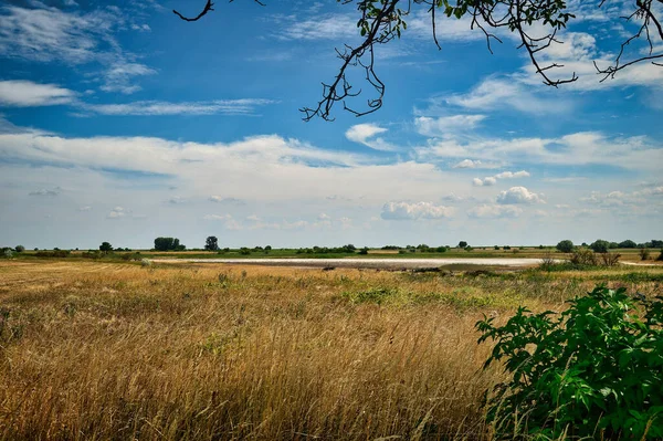 Landschaftsaufnahme Von Wiesen Mit Trockenem Salzsee Büschen Und Ästen Pannonischen — Stockfoto