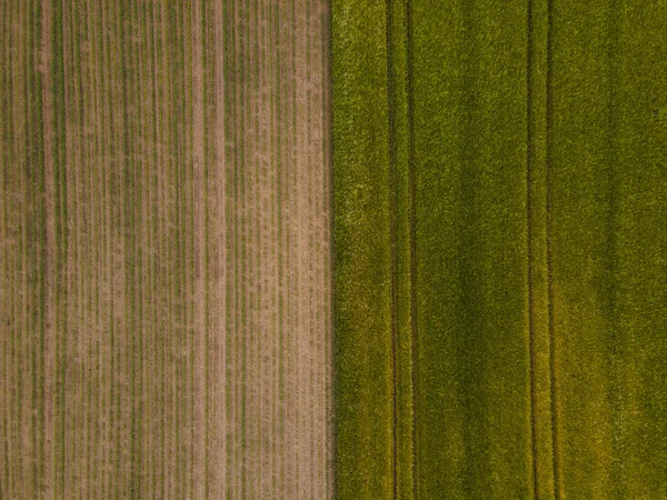 Luchtfoto Van Groen Landbouwgebied — Stockfoto