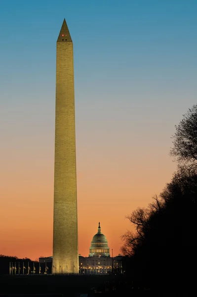 Washington United States Mar 2021 Vertical Shot Beautiful Sunrise National — Stock Photo, Image