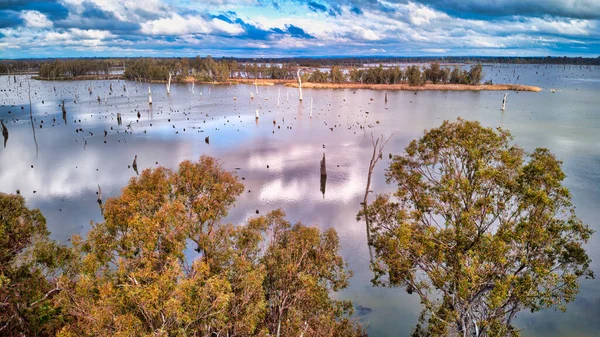 Een Luchtfoto Van Het Schilderachtige Lake Mulwala Kunstmatige Reservoir Australië — Stockfoto