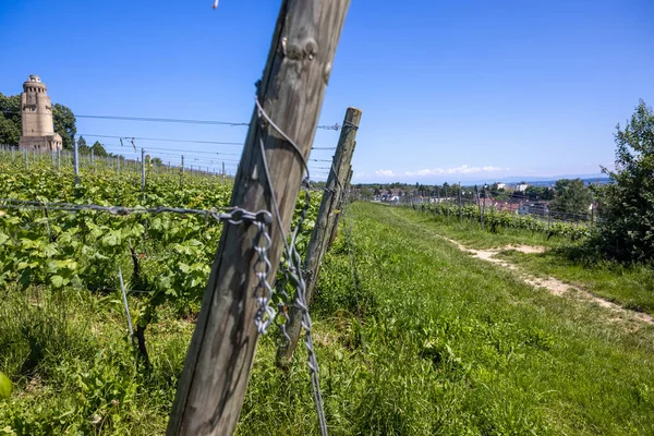 Dřevěný Sloupek Kovovými Řetězy Farmě Pod Jasně Modrou Oblohou — Stock fotografie