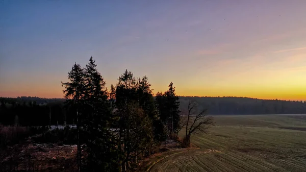 Uma Bela Vista Das Árvores Campo Pôr Sol Cênico — Fotografia de Stock