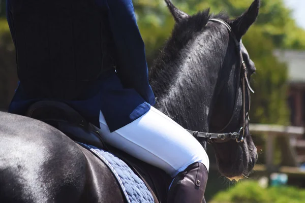 Una Vista Trasera Una Persona Montando Caballo Negro Campo Día — Foto de Stock