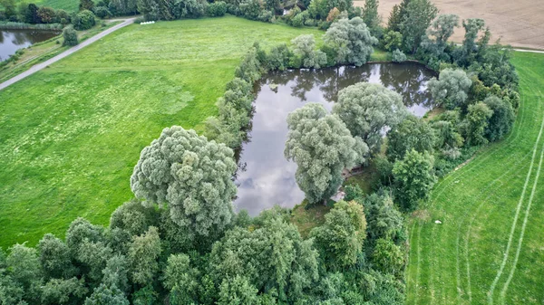 Aerial View Pond Surrounded Fresh Greenery — Φωτογραφία Αρχείου