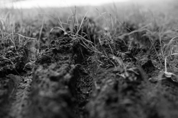 Tire Tracks Dirt Road Oldenburg — Stock Photo, Image