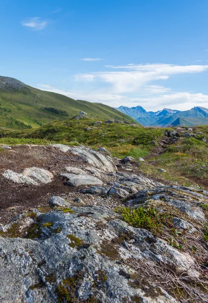 Zelená Skalnatá Hornatá Oblast Voldě Norsko — Stock fotografie