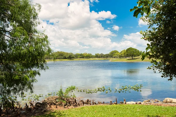 Uma Bela Paisagem Lago Rodeado Árvores Verdes Sob Céu Nublado — Fotografia de Stock