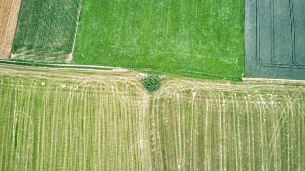 Flygbild Jordbruksfälten — Stockfoto