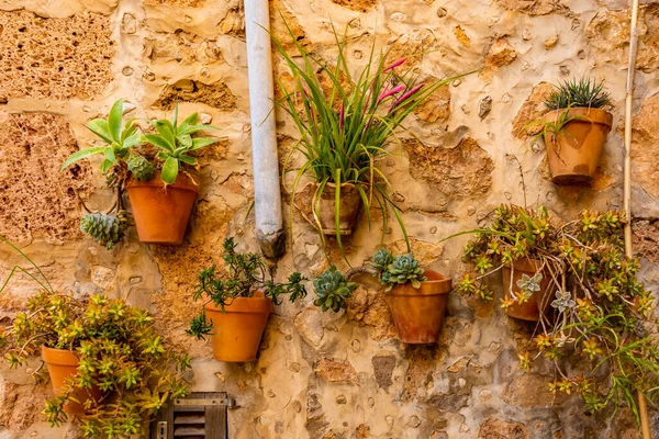 Une Vue Vieux Mur Décoré Avec Des Vases Plantes Valldemossa — Photo