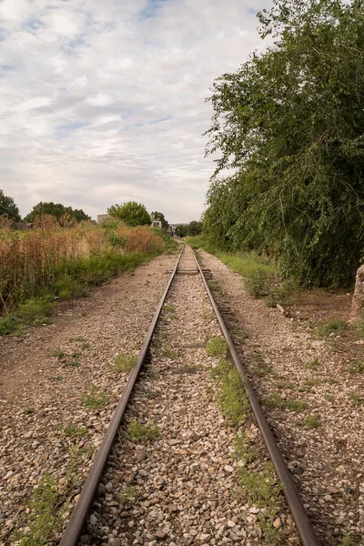曇りの日に鉄道の垂直ショット — ストック写真