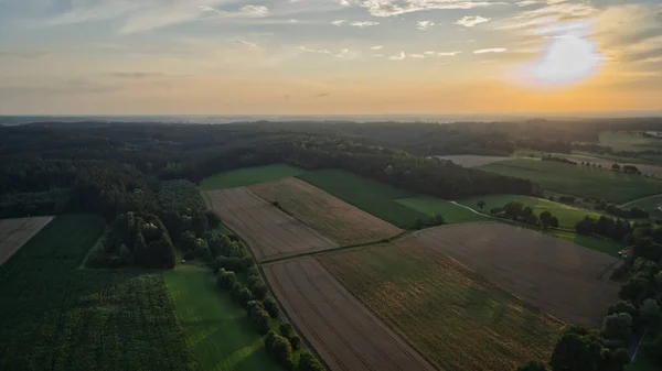 Uma Bela Paisagem Com Campos Densas Árvores Verdes Pôr Sol — Fotografia de Stock