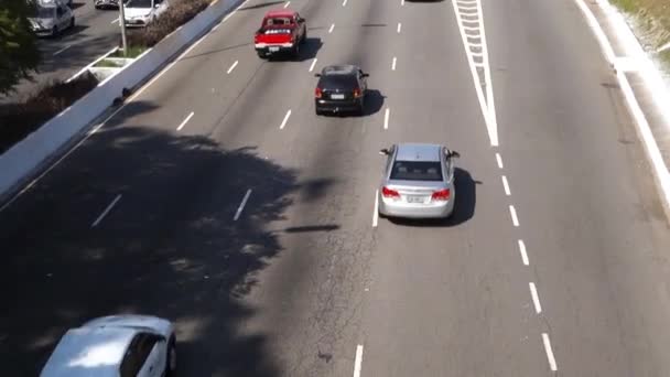 Şehirdeki Trafik — Stok video