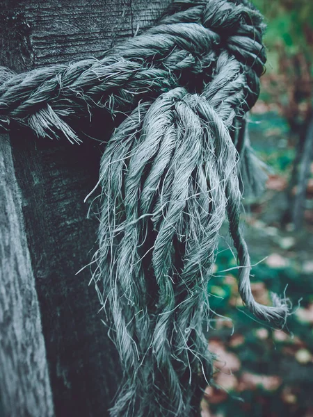 Вертикальний Постріл Дерев Яного Колоди Вимороженою Мотузкою — стокове фото