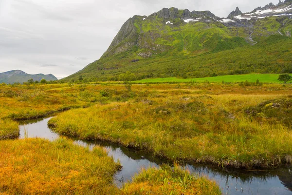 Ein Schmaler Fluss Fließt Durch Die Gelben Felder More Romsdal — Stockfoto
