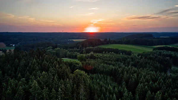 Vacker Utsikt Över Täta Gröna Träd Vid Natursköna Solnedgången — Stockfoto
